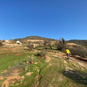 Hermosa parcela en Curacaví