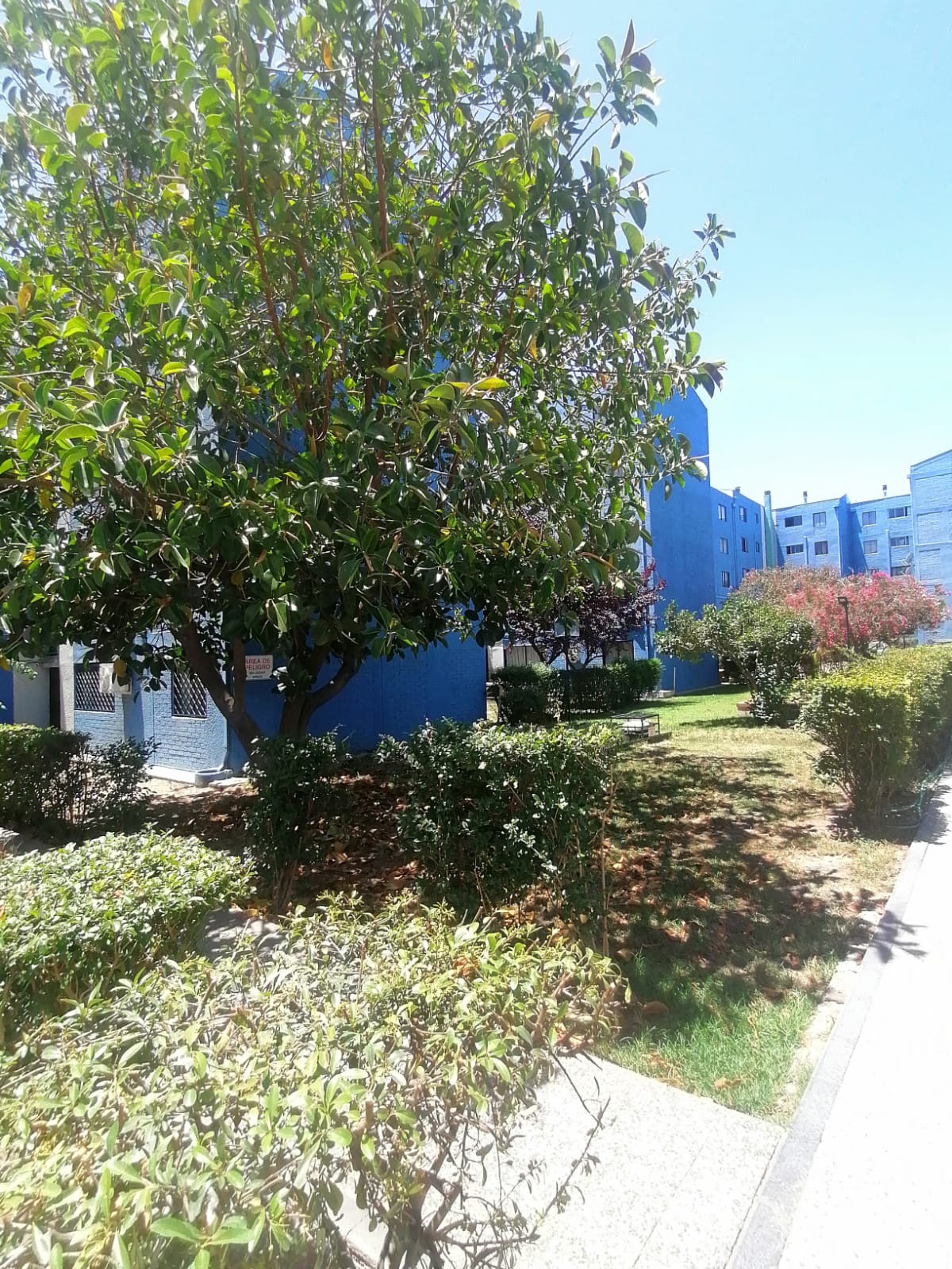 Departamento amoblado en Yungay, Santiago - Imagen 9